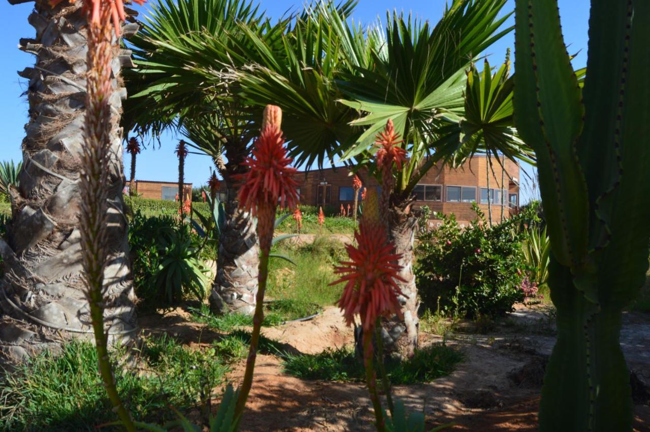 Dakhla Kitesurf World Hotel ภายนอก รูปภาพ