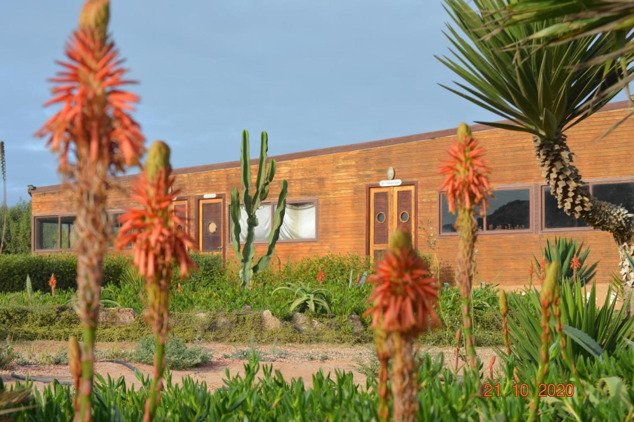 Dakhla Kitesurf World Hotel ภายนอก รูปภาพ