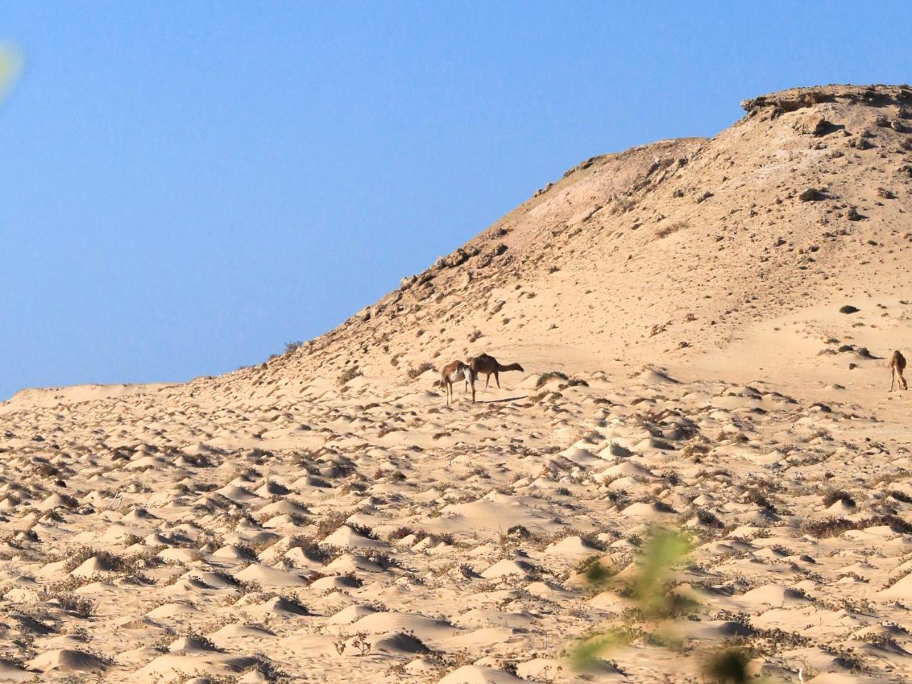Dakhla Kitesurf World Hotel ภายนอก รูปภาพ